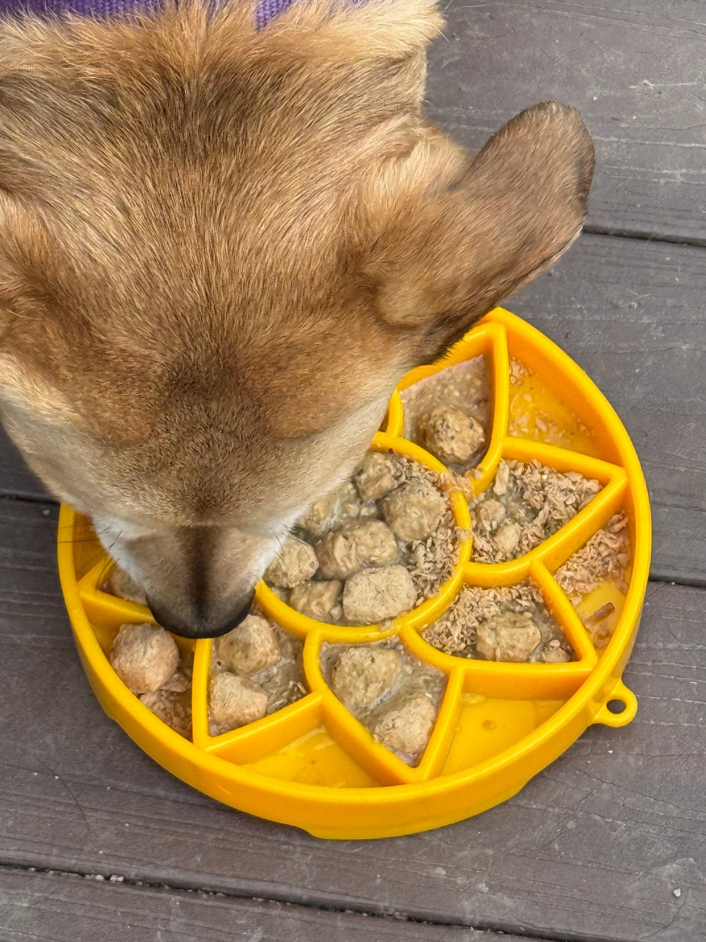 SodaPup Slow Feeder Tray, Sunflower