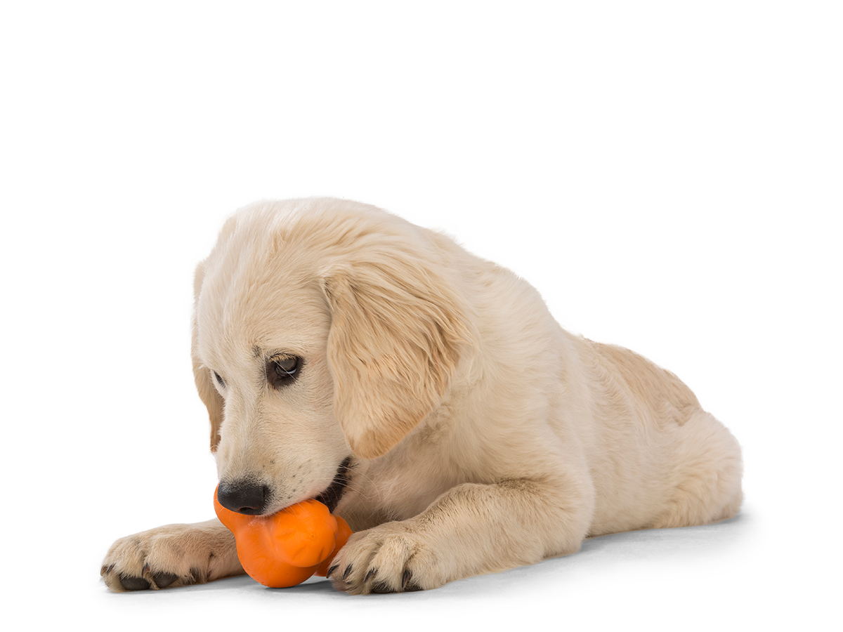 West Paw Tux Puzzle Treat-Dispensing Slow Feeder Dog Toy
