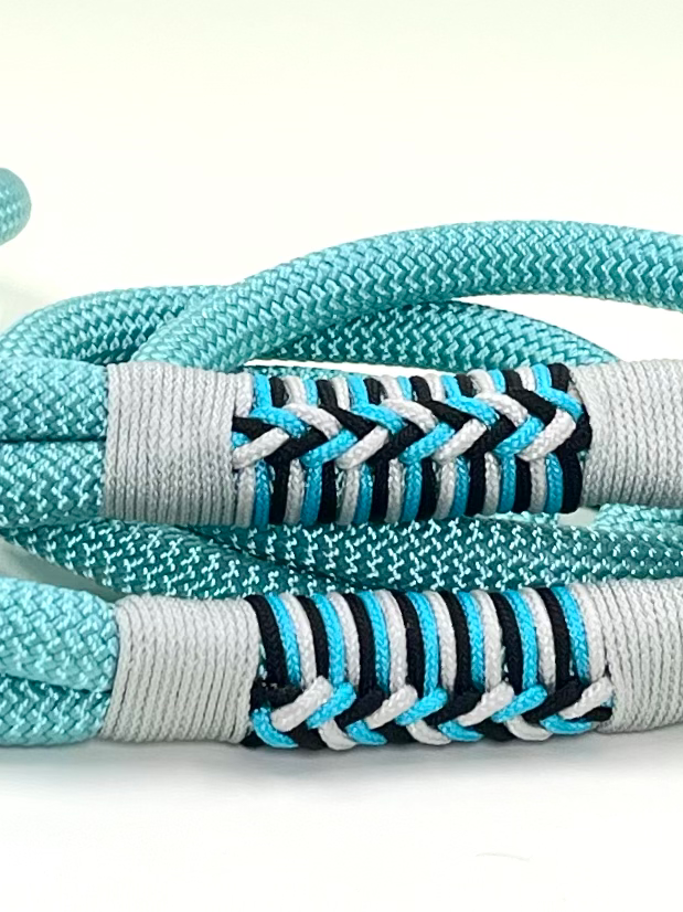 So Fetching 5-Foot Rope Lead