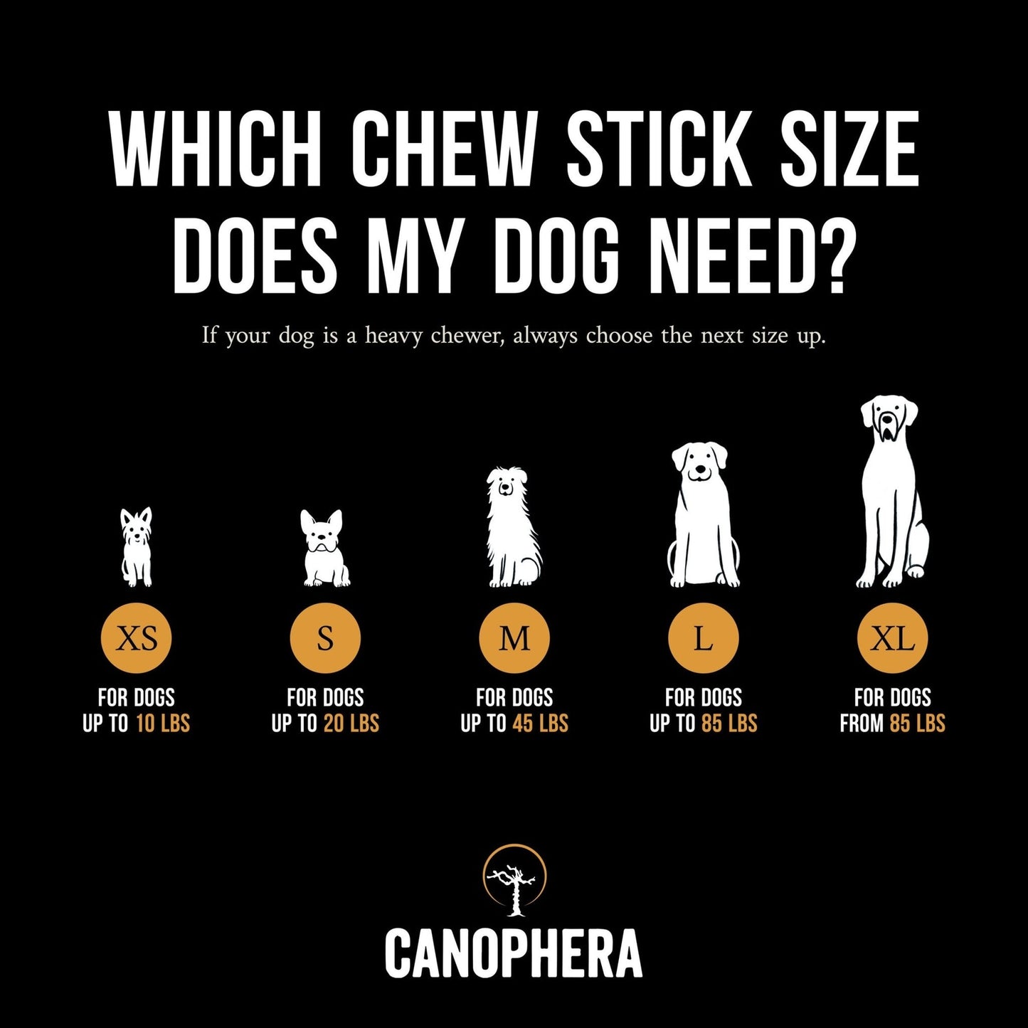 CANOPHERA Coffee Wood Dog Chew