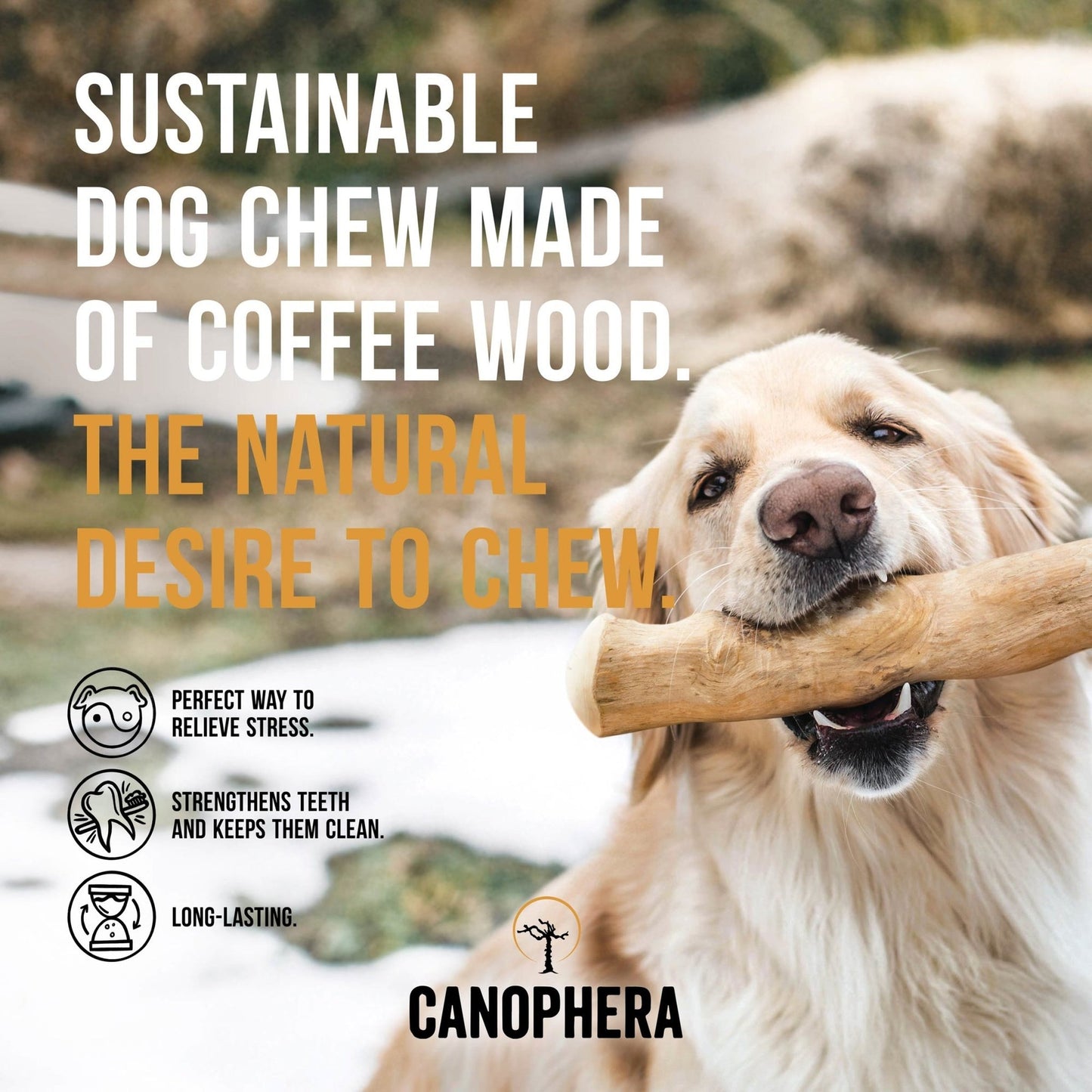 CANOPHERA Coffee Wood Dog Chew