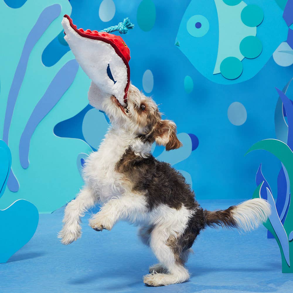 BARK Dog Sting Crosby the Ray Toy