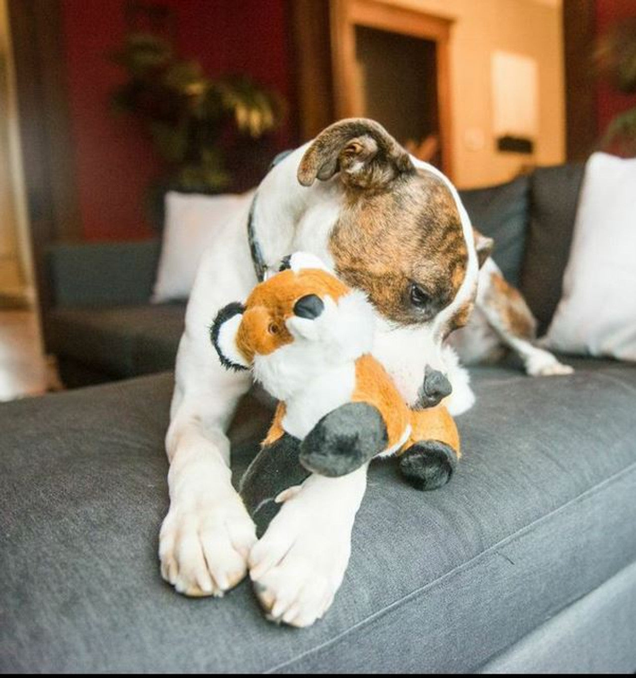 Fluff & Tuff "Hendrix" - Fox Plush Dog Toy