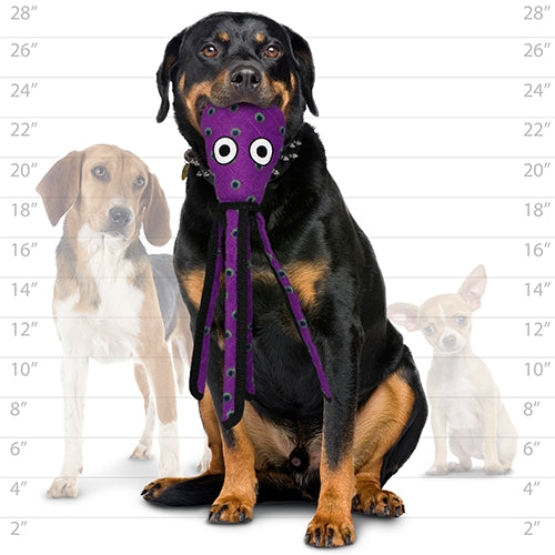 Tuffy Ocean Squid Dog Toy