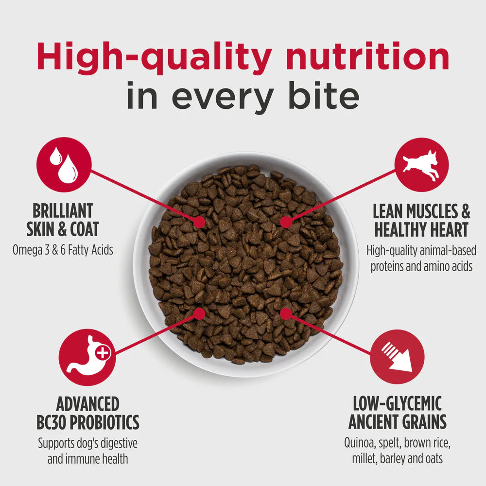 Nulo Dog Frontrunner Ancient Grains Turkey, Trout and Spelt Dry Food