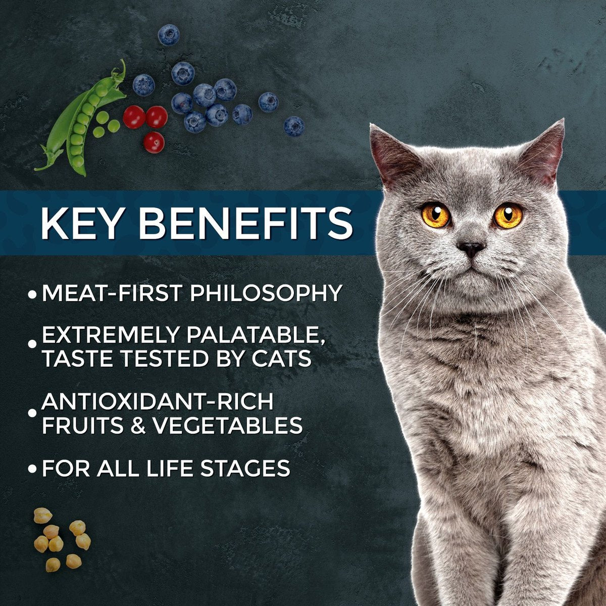 Fussie Cat Market Fresh Grain-Free Salmon Dry Food