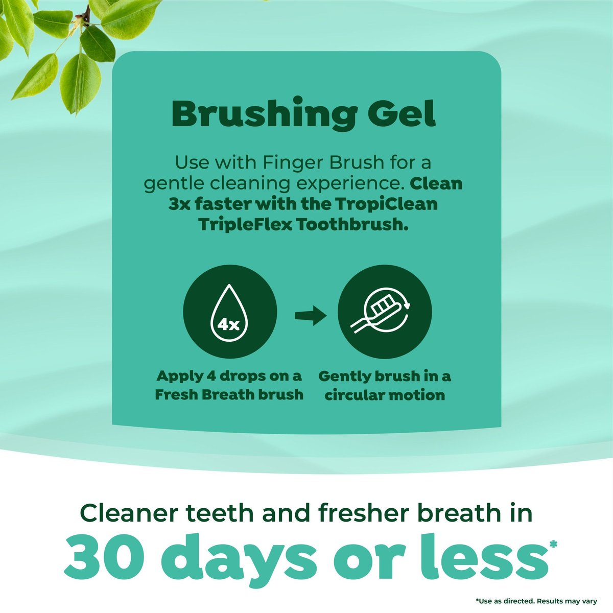 Fresh Breath Dog Oral Care Kit, Large Dog