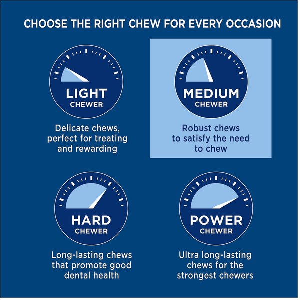 Barkworthies Odor-Free Standard Bully Sticks Dog Treat, 6 inch