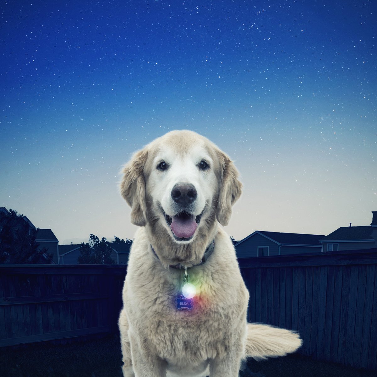 Nite Ize SpotLit LED Disc-O Collar Safety Light