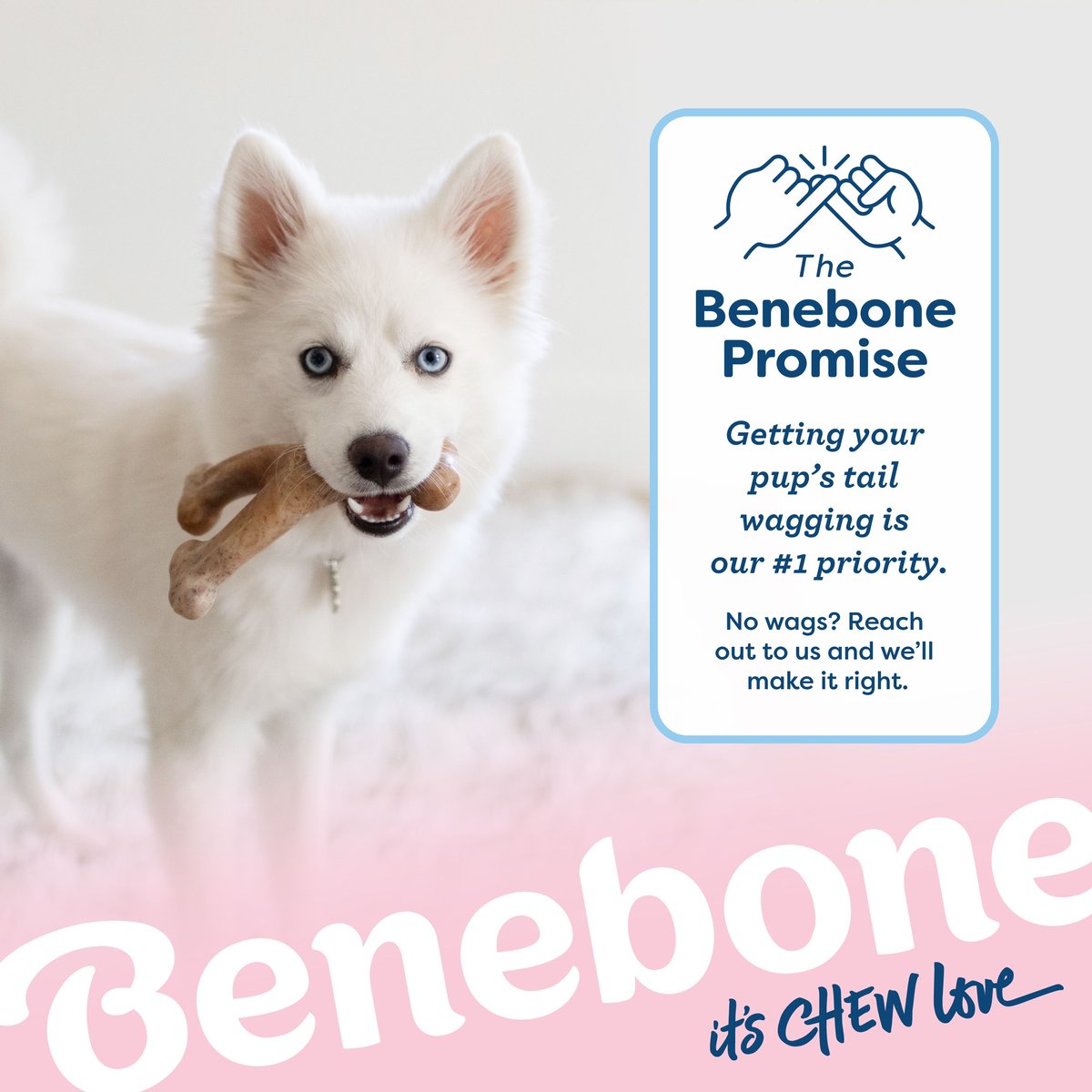 Benebone Rubber Bone/Wishbone Bacon Puppy Chew Toy (2-Pack)