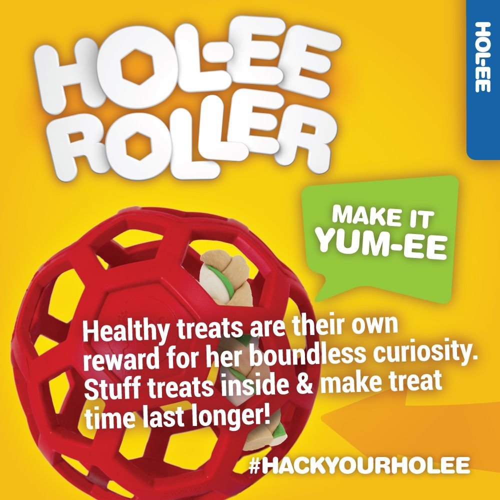 JW Pet Hol-ee Roller Dog Toy