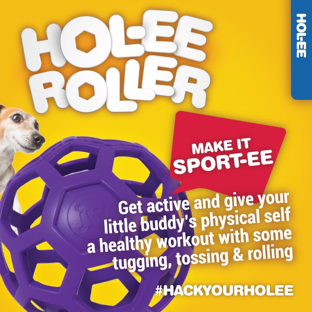 JW Pet Hol-ee Roller Dog Toy