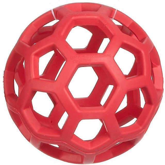 JW Pet Hol-ee Roller Dog Toy