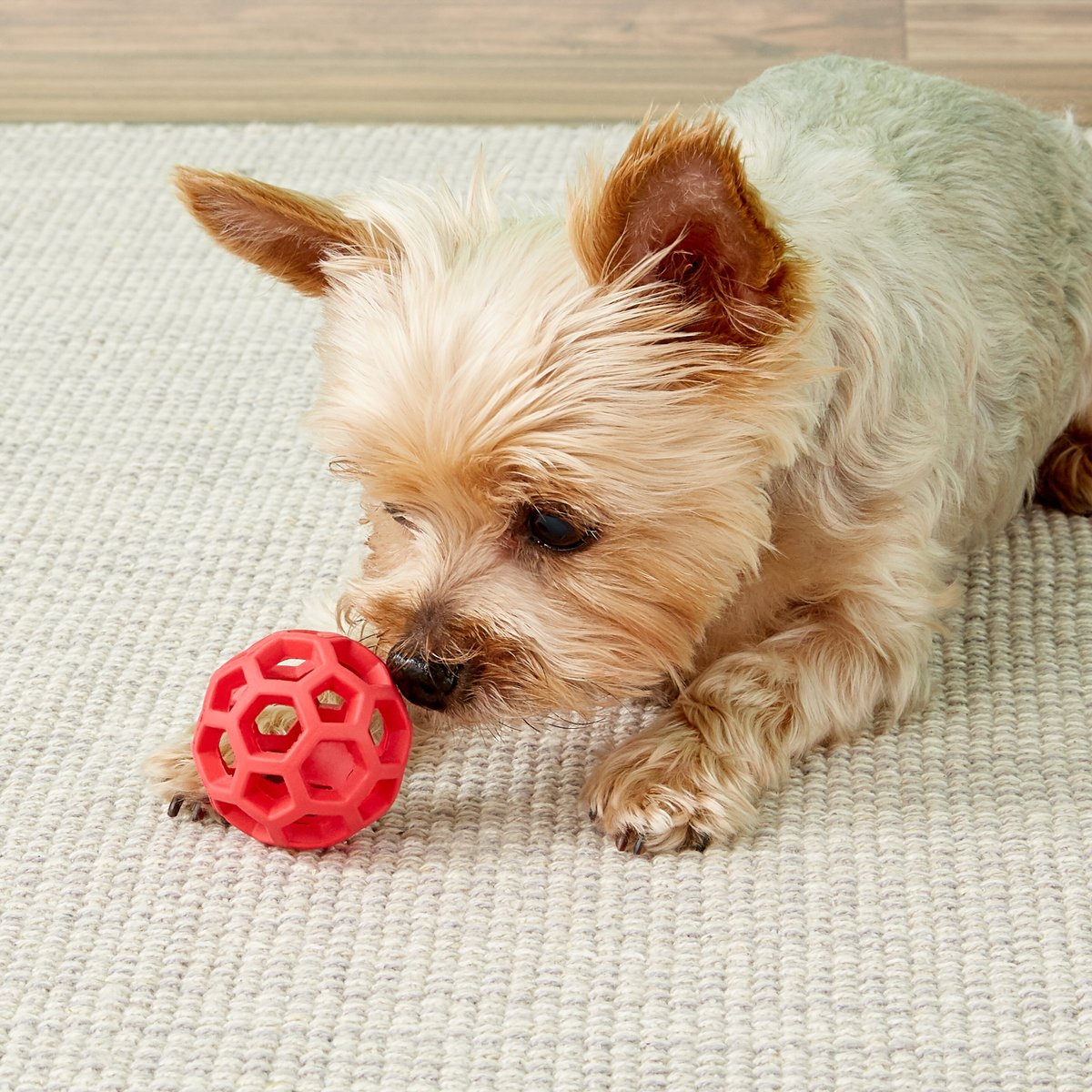 JW Pet Hol-ee Roller Dog Toy