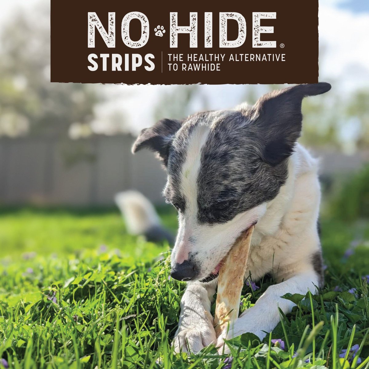 Earth Animal No-Hide Barbeque Dog Chew Strip (4 pack)