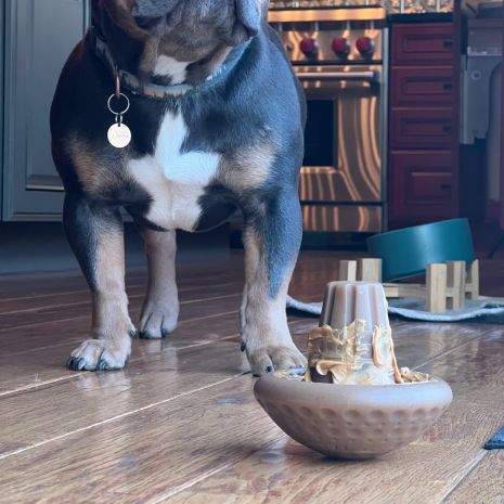 Tall Tails Dog Shroom Chew Toy