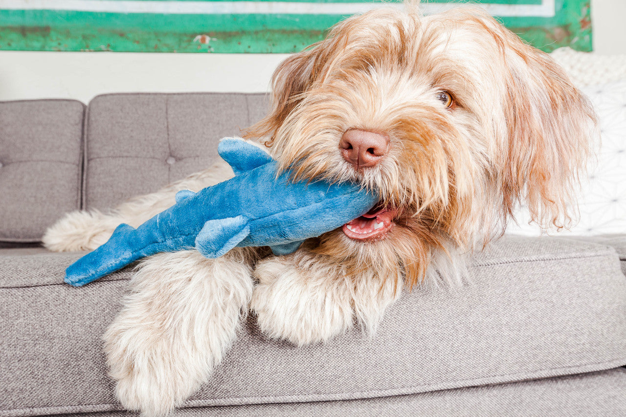 Fluff & Tuff "Tank" - Shark Plush Dog Toy