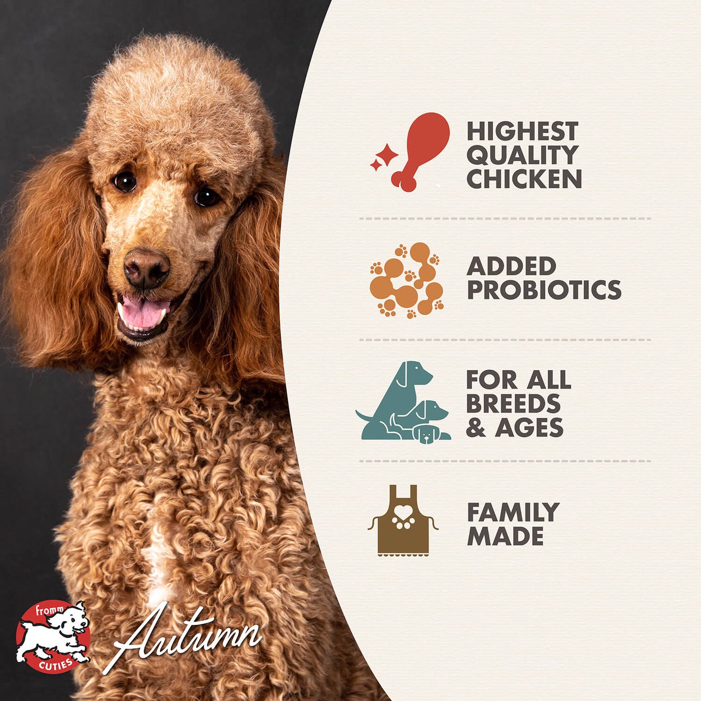 Fromm Dog Four-Star Grain Free Chicken Au Frommage Dry Food