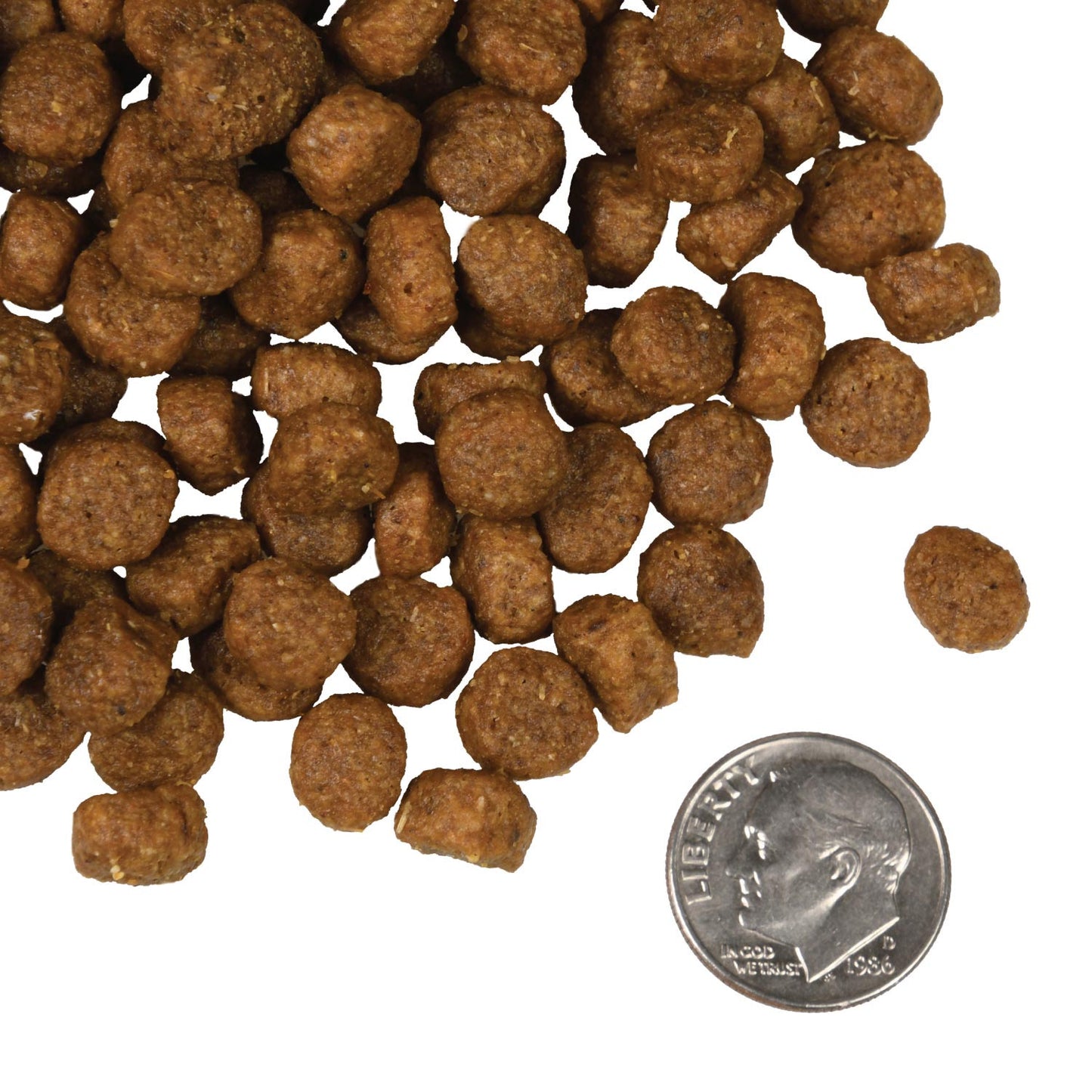 Fromm Dog Four-Star Salmon A La Veg Dry Food