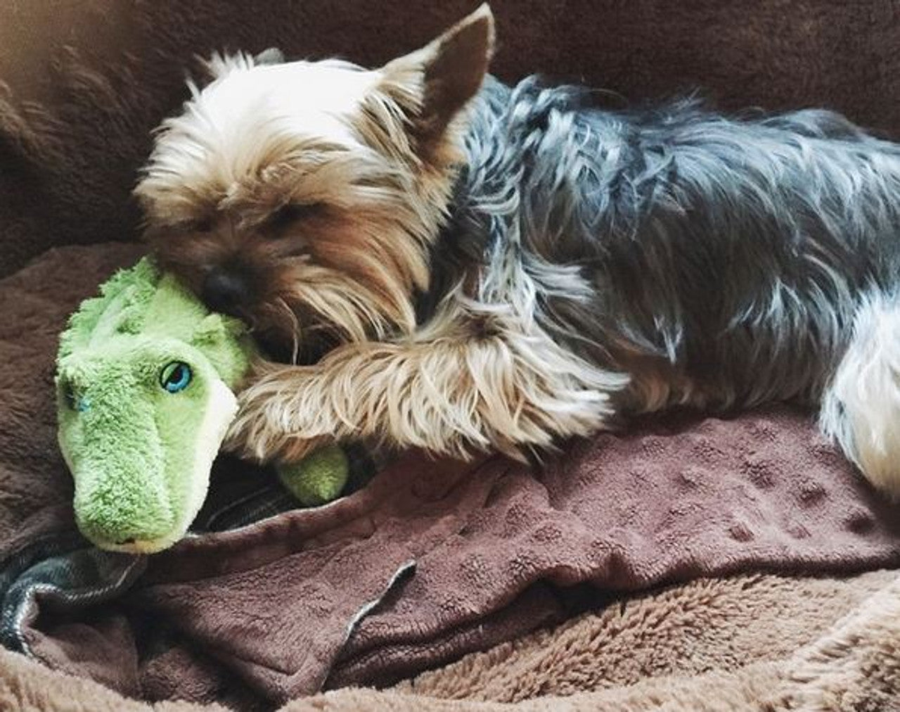 Fluff & Tuff "Savannah" - Baby Gator Plush Dog Toy