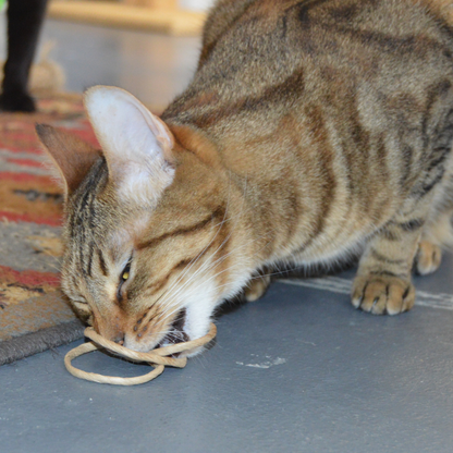 Oh-Rings - Three Ring Wand Attachment - Declaw Cat Friendly