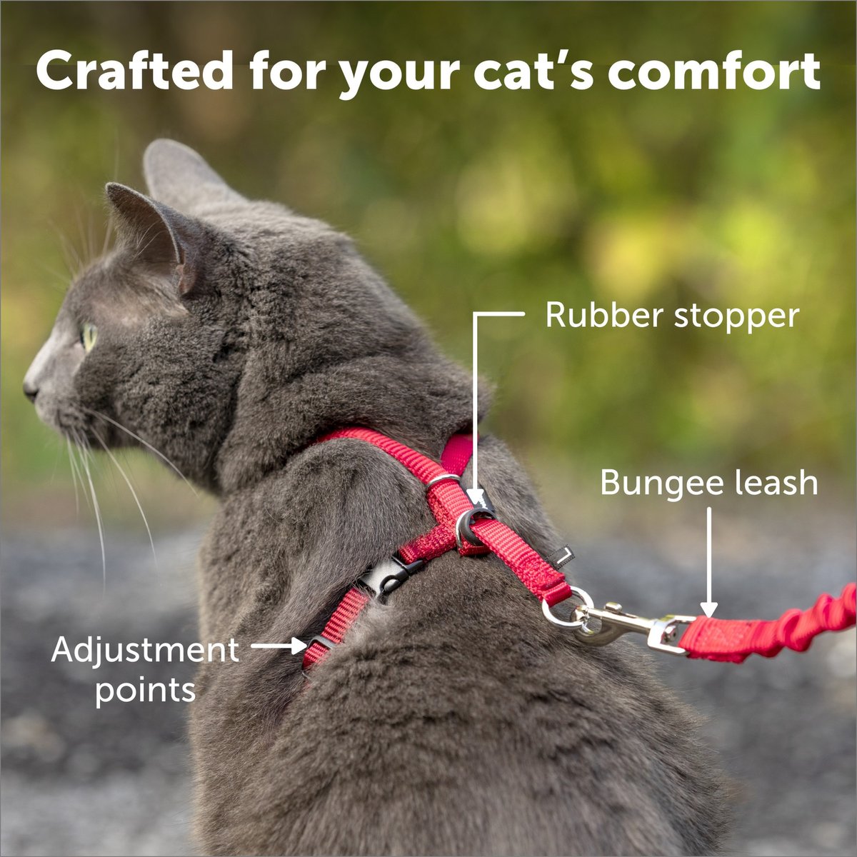 PetSafe Come With Me Kitty Harness and Bungee Cat Leash, Black/Silver