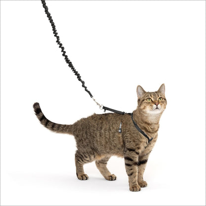 PetSafe Come With Me Kitty Harness and Bungee Cat Leash, Black/Silver