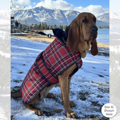 PetRageous Kodiak Insulated Dog Coat