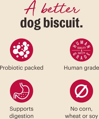 The Honest Kitchen Human Grade Goat's Milk N' Cookies Slow Baked with Blueberries & Vanilla Dog Treats, 8-oz bag