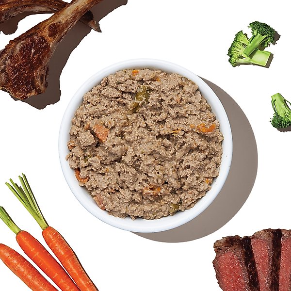The Honest Kitchen Butcher Block Pate Wet Dog Food - Beef, Lamb & Spring Veggies