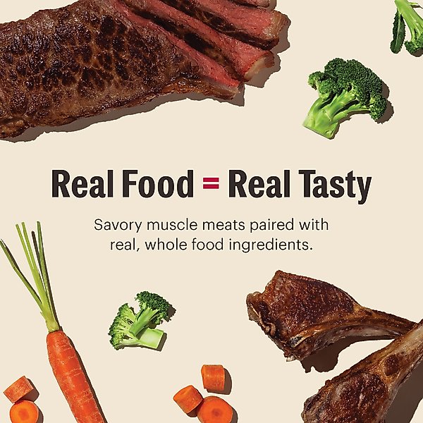 The Honest Kitchen Butcher Block Pate Wet Dog Food - Beef, Lamb & Spring Veggies