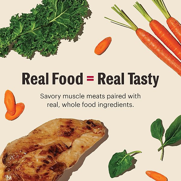 The Honest Kitchen Butcher Block Pate Chicken & Super Greens Pate Wet Dog Food