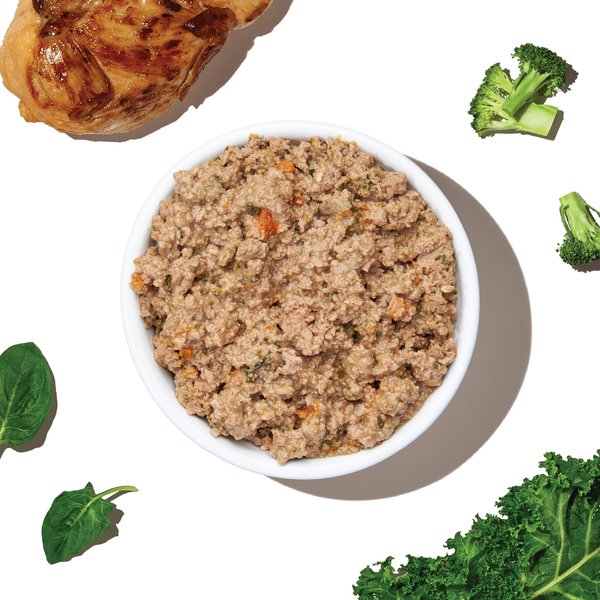 The Honest Kitchen Butcher Block Pate Chicken & Super Greens Pate Wet Dog Food