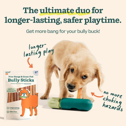 Woof BullySafe & 6-inch Bully Stick Dog Treats, 5 count