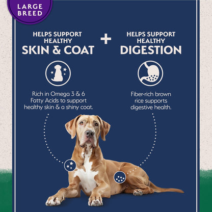 Natural Balance L.I.D. Lamb & Brown Rice Large Breed Dog Food