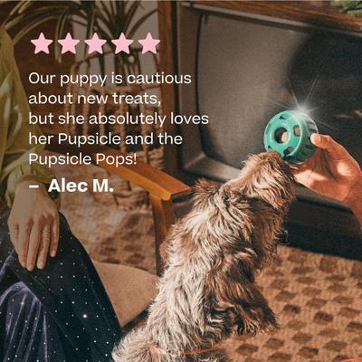 Woof Pupsicle Jingle Pops Refills Peanut Butter Grain-Free Lickable Dog Treats