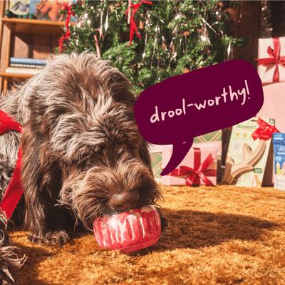 Woof Pupsicle Jingle Pops Refills Peanut Butter Grain-Free Lickable Dog Treats