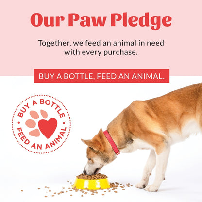 Skout's Honor Probiotic Honeysuckle Pet Shampoo & Conditioner