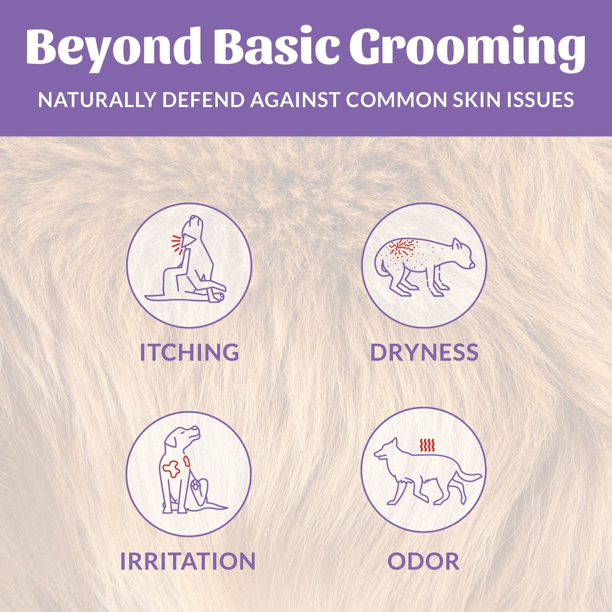 Skout's Honor Dog Probiotic Shampoo & Conditioner, Lavender