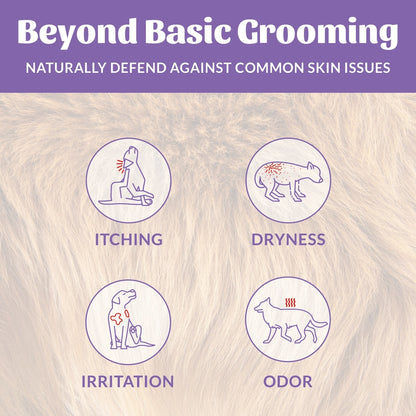 Skout's Honor Dog Probiotic Shampoo & Conditioner, Lavender