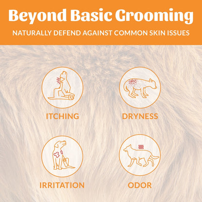 Skout's Honor Probiotic Honeysuckle Pet Shampoo & Conditioner