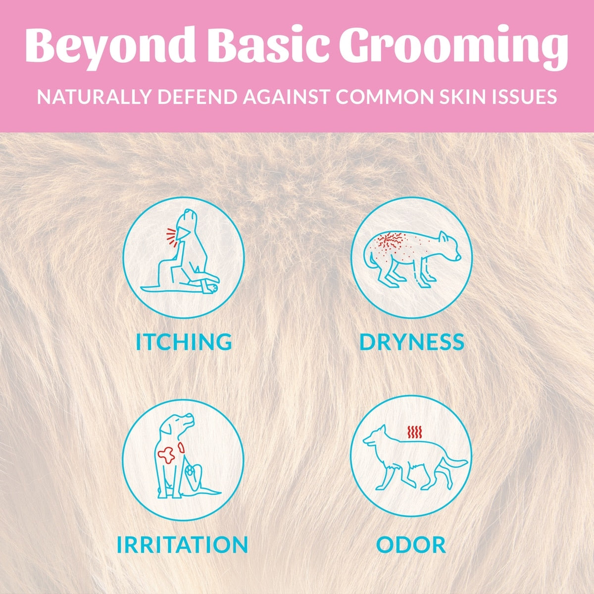 Skout's Honor Happy Puppy Probiotic Cat & Dog Shampoo & Conditioner