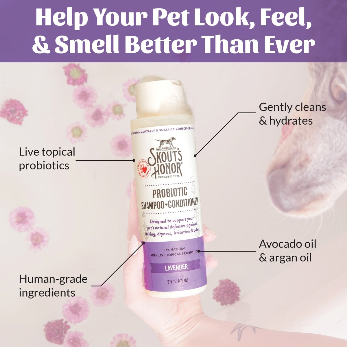 Skout's Honor Dog Probiotic Shampoo & Conditioner, Lavender