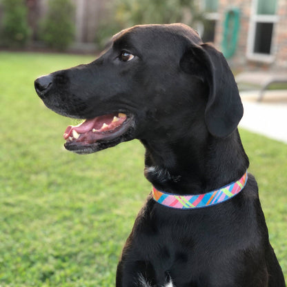 Up Country Pink Madras Dog Collar