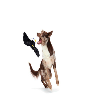 BARK Bold Eagle Fourth Of July American Plush Dog Toy
