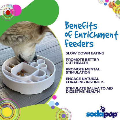 SodaPup Enrichment Slow Feeder Bowl, Java