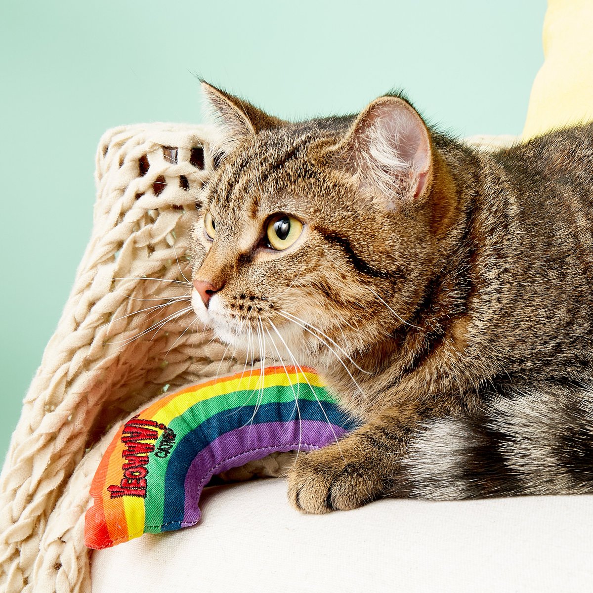 Yeowww! Catnip Rainbow Cat Toy