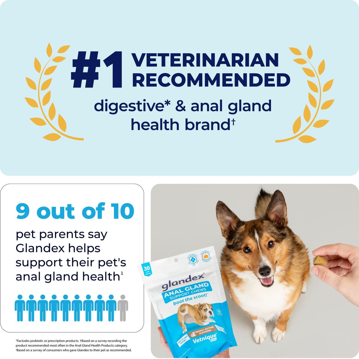 Vetnique Labs Glandex for Dogs Anal Gland Support Peanut Butter Flavored Pumpkin Fiber Soft Chew Supplement for Dogs