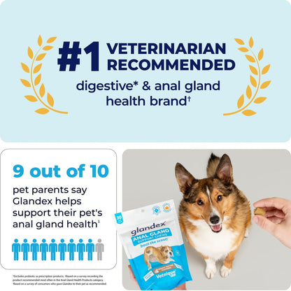 Vetnique Labs Glandex for Dogs Anal Gland Support Peanut Butter Flavored Pumpkin Fiber Soft Chew Supplement for Dogs