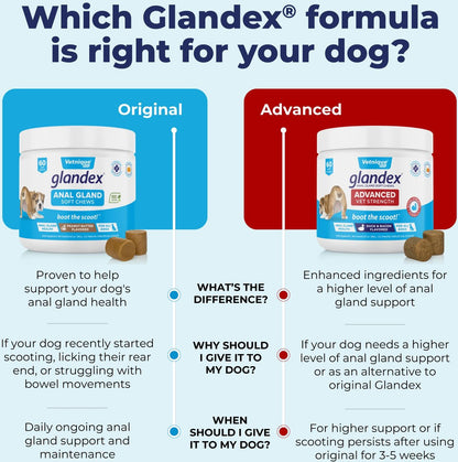 Vetnique Labs Glandex for Dogs Anal Gland Support Peanut Butter Flavored Pumpkin Fiber Soft Chew Supplement for Dogs